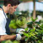 How to Create Beautiful Landscape with Flat Lawn and Garden